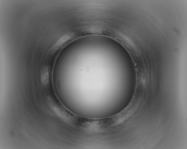 X0000112370120200908131526