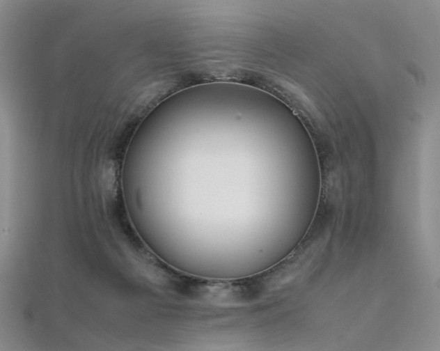 X0000112370121200908131526