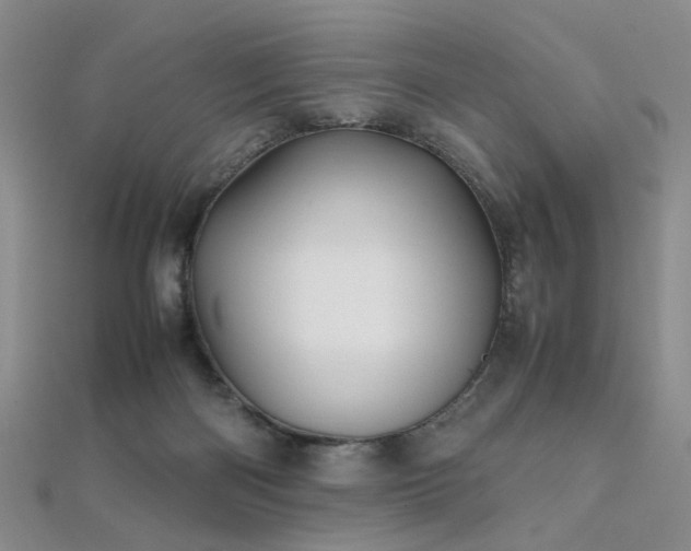 X0000112370122200908131526