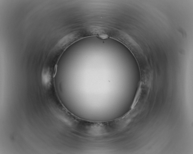 X0000112370124200908131526