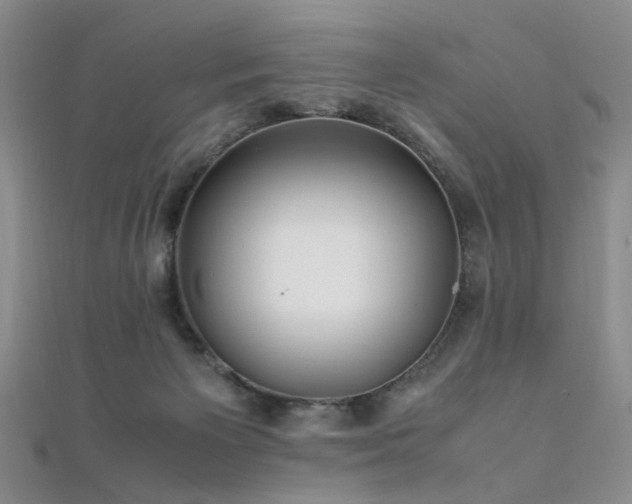 X0000112370125200908131526