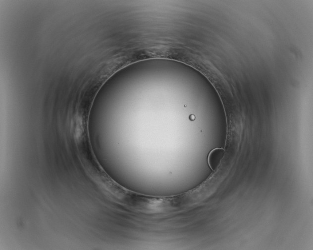 X0000112370130200908131525