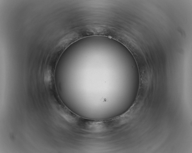 X0000112370132200908131525