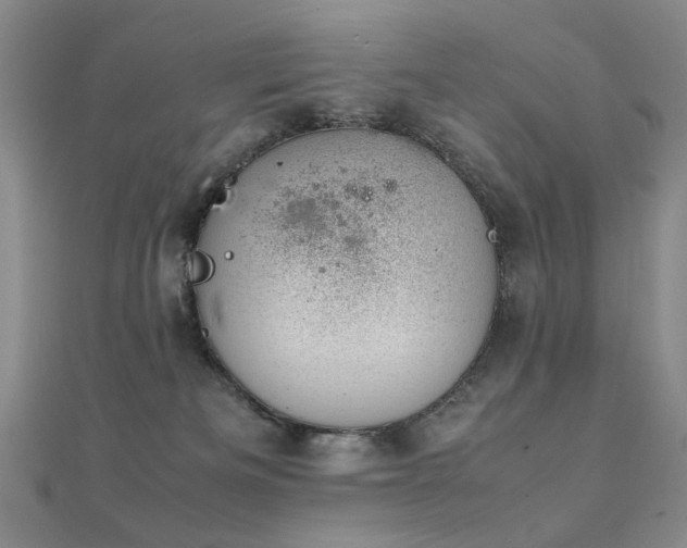 X0000112370133200908131525