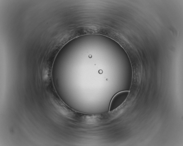 X0000112370134200908131525