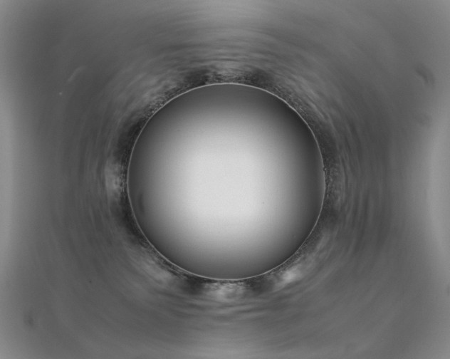 X0000112370135200908131525