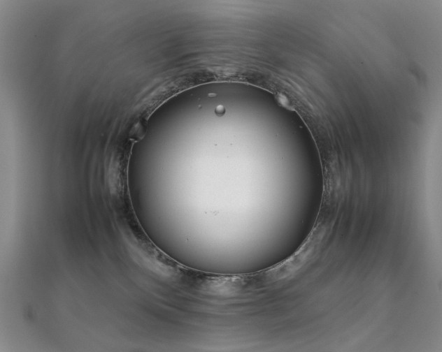 X0000112370136200908131525