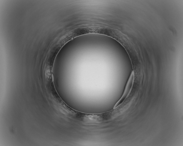 X0000112370137200908131525