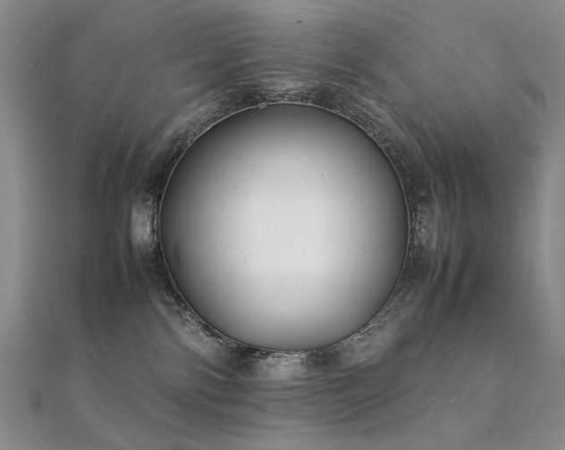 X0000112370138200908131525