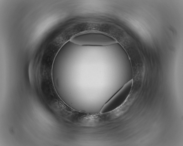 X0000112370140200908131525