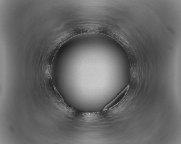 X0000112370141200908131525