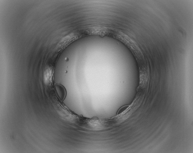 X0000112370142200908131525