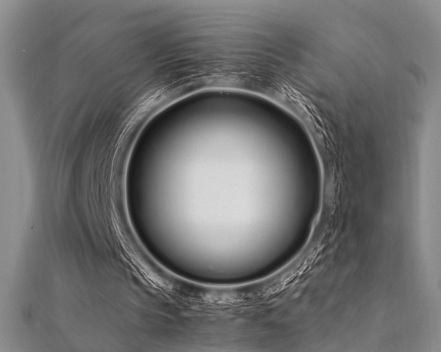 X0000112370145200908131525