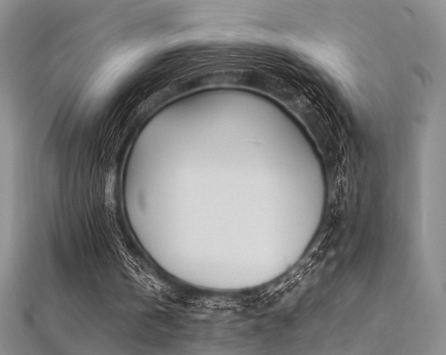 X0000112370146200908131525