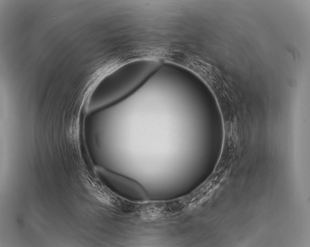 X0000112370148200908131525