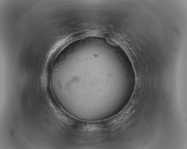 X0000112370149200908131525