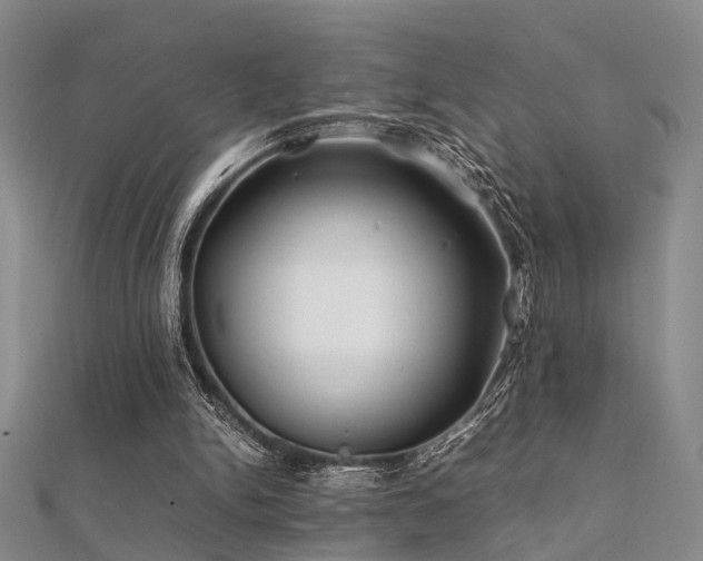 X0000112370150200908131525