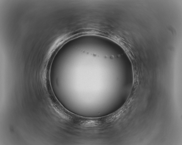 X0000112370151200908131525