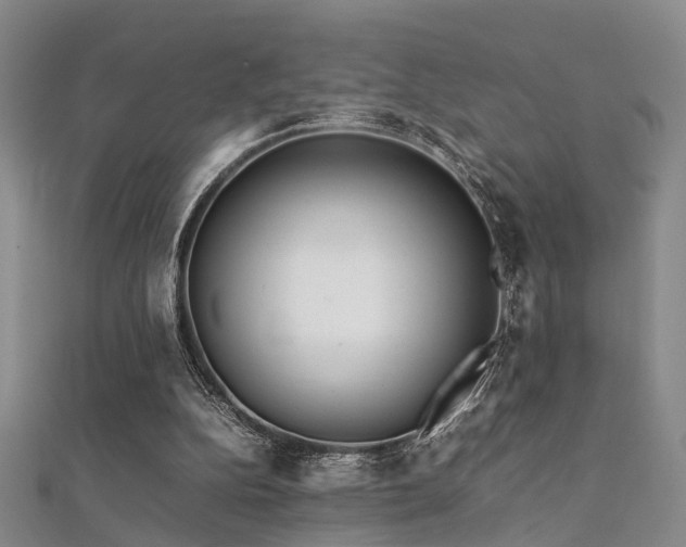 X0000112370152200908131525