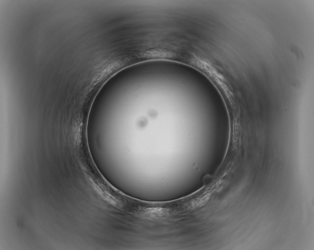 X0000112370153200908131525