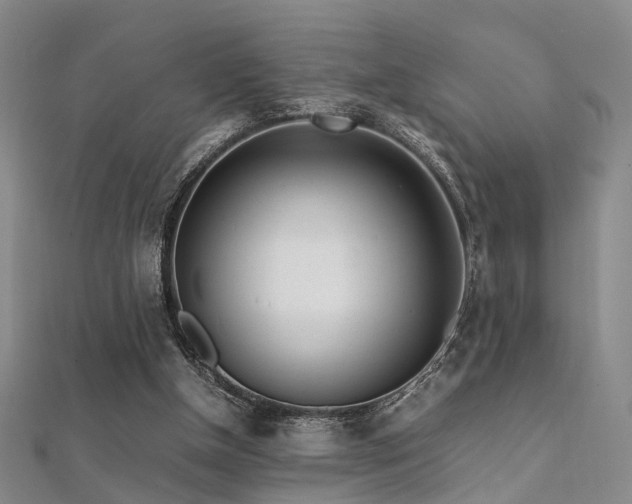 X0000112370154200908131525