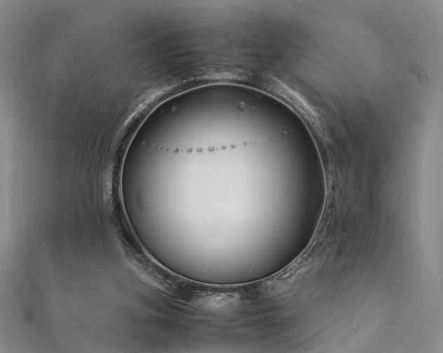 X0000112370155200908131525