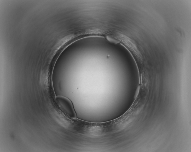 X0000112370156200908131525