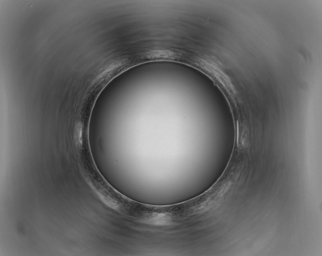 X0000112370157200908131525