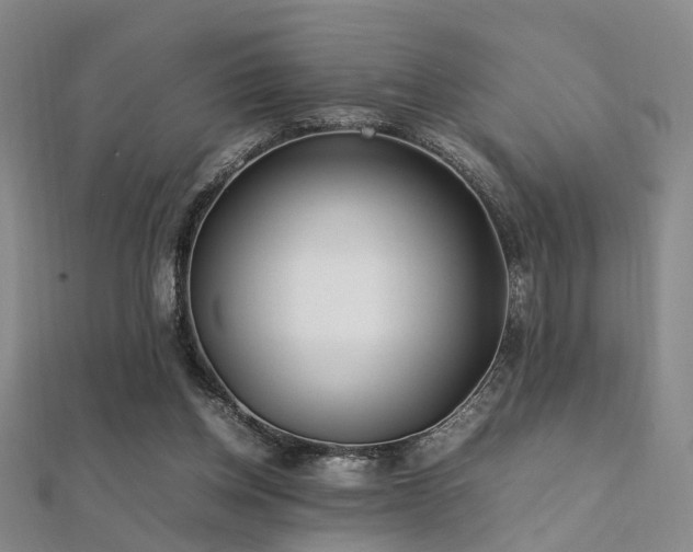 X0000112370158200908131525