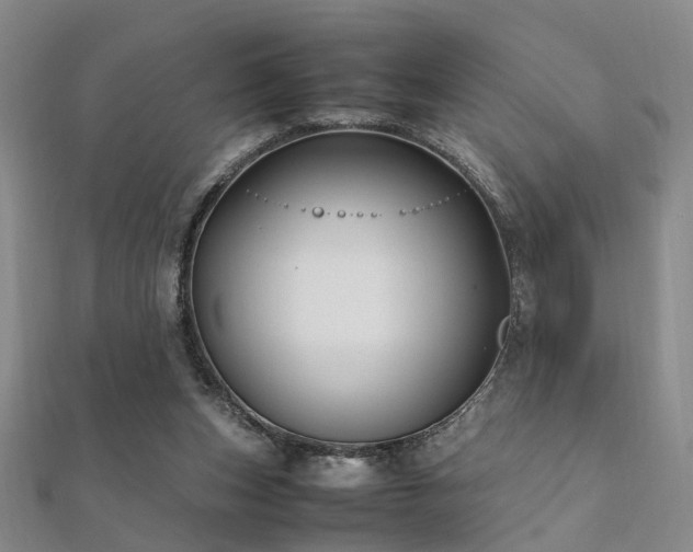 X0000112370159200908131525