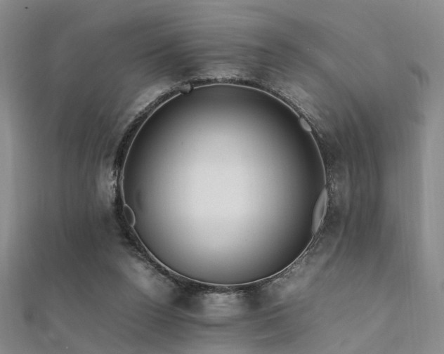 X0000112370160200908131525