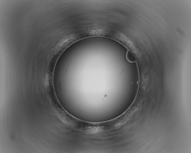 X0000112370161200908131525