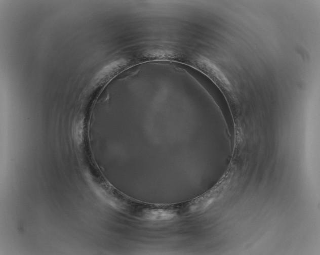 X0000112370163200908131525