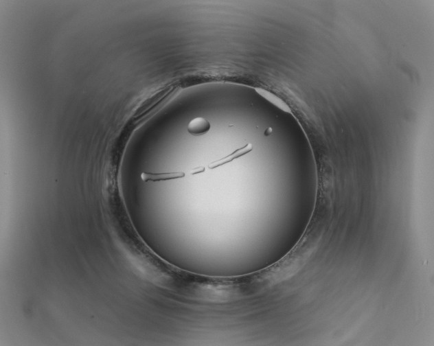 X0000112370164200908131525