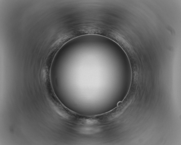 X0000112370165200908131525