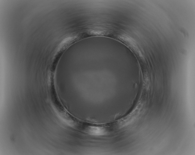 X0000112370167200908131525