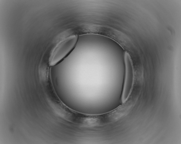 X0000112370168200908131525