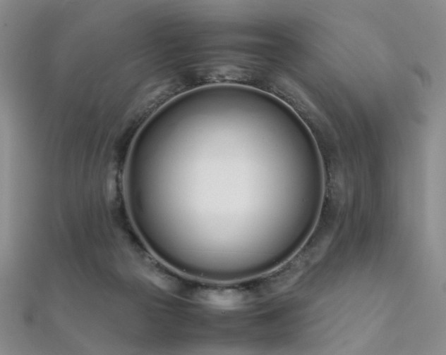 X0000112370169200908131525