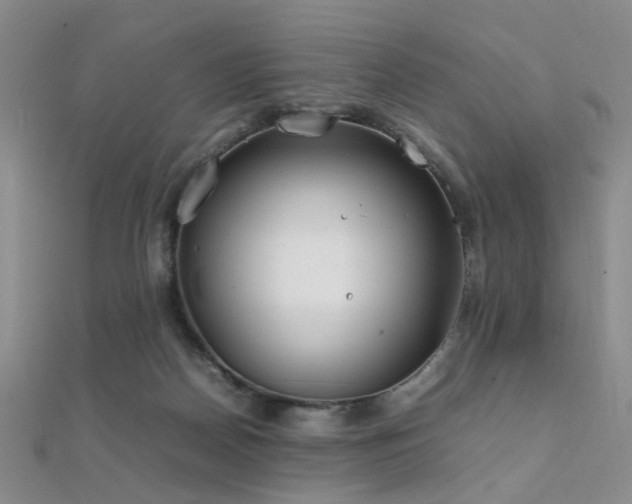 X0000112370170200908131525