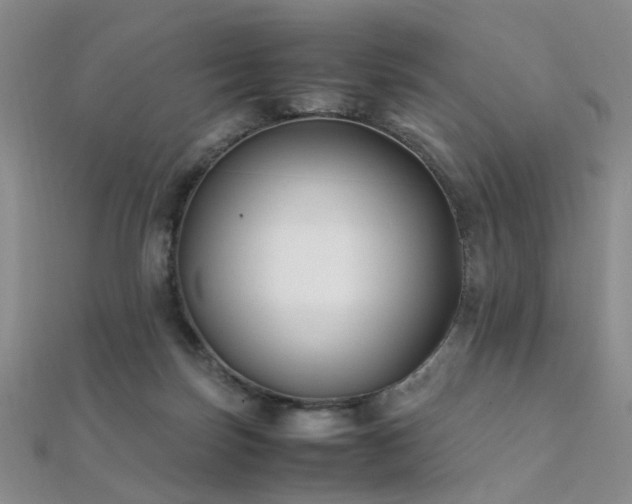 X0000112370171200908131525