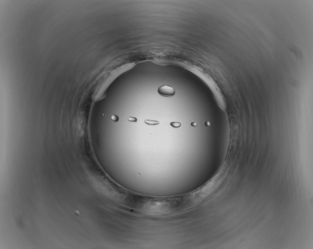 X0000112370174200908131525