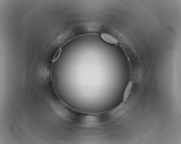 X0000112370176200908131525