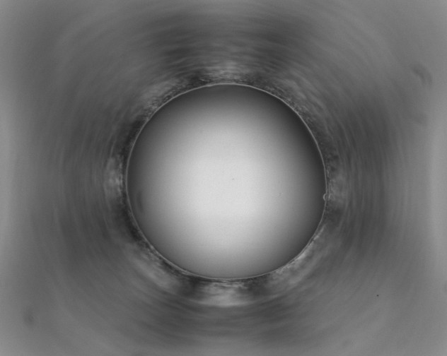 X0000112370179200908131525