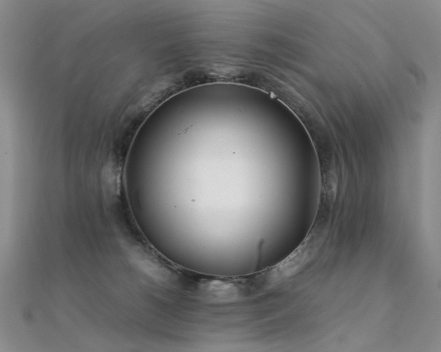 X0000112370180200908131525