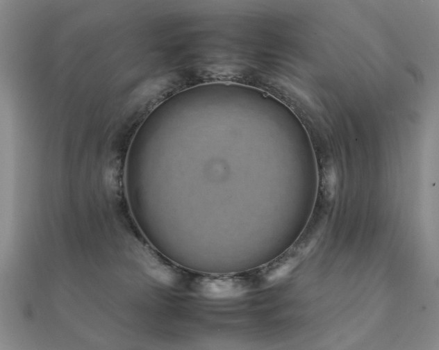 X0000112370181200908131525