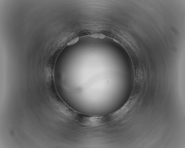 X0000112370184200908131525