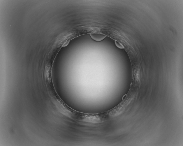 X0000112370185200908131525