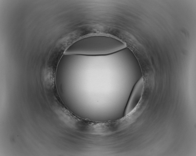 X0000112370186200908131525