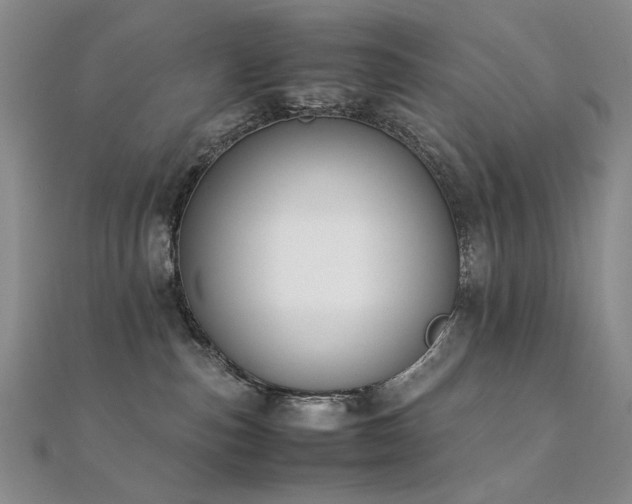 X0000112370187200908131525