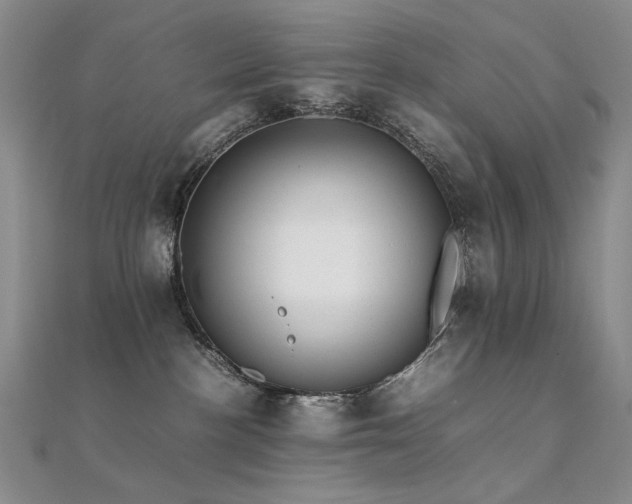 X0000112370188200908131525